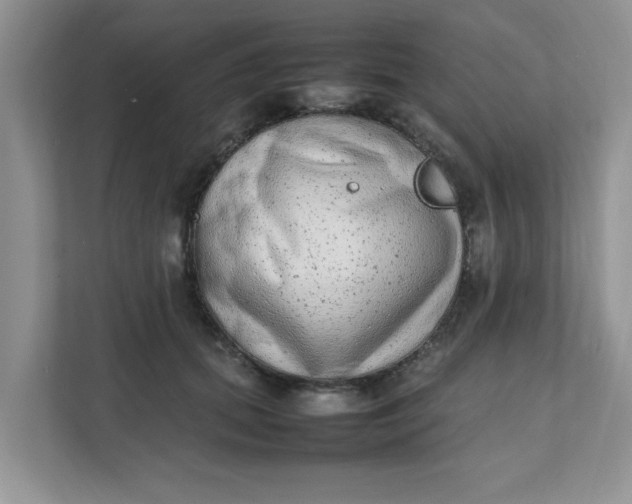 X0000112040655200908171512