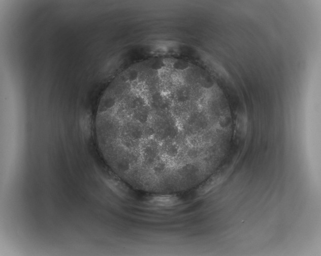 X0000112040659200908171512