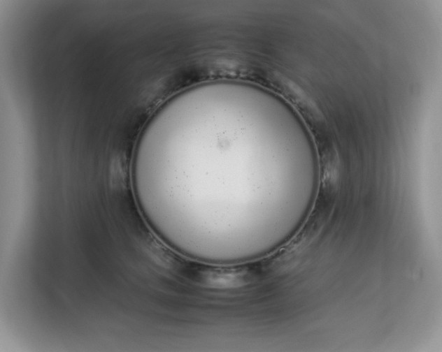 X0000112040661200908171512