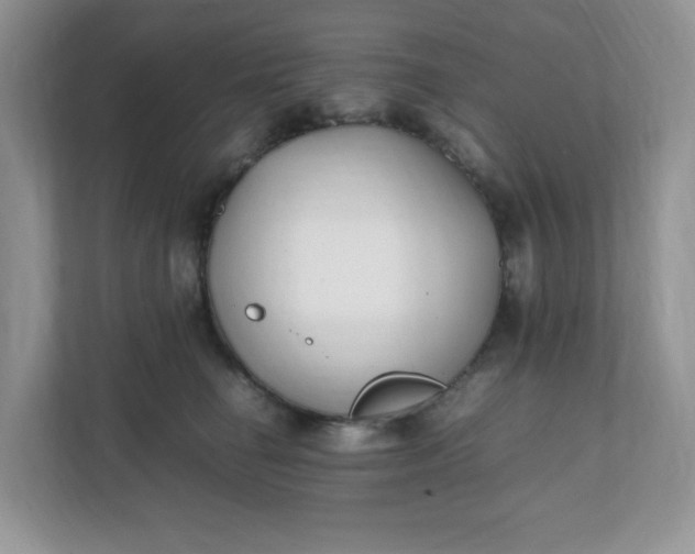X0000112040662200908171512
