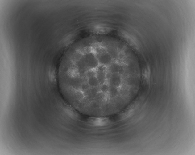 X0000112040663200908171512