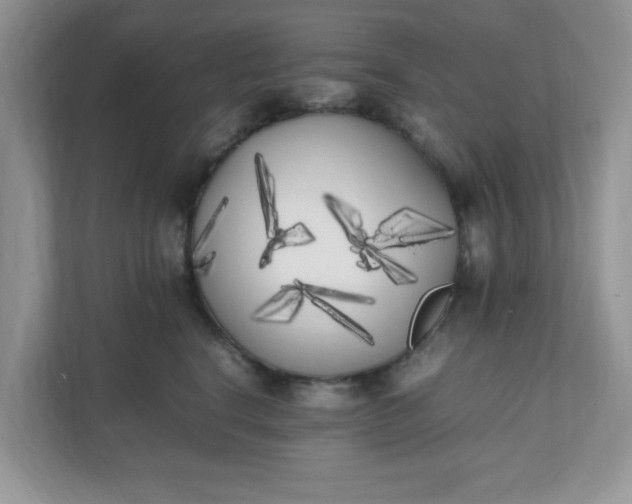 X0000112040664200908171512