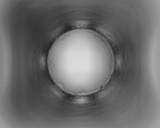 X0000112040667200908171512