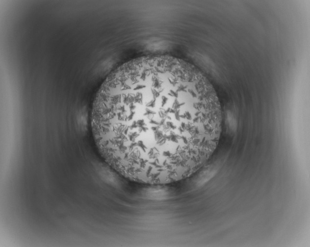 X0000112040668200908171512