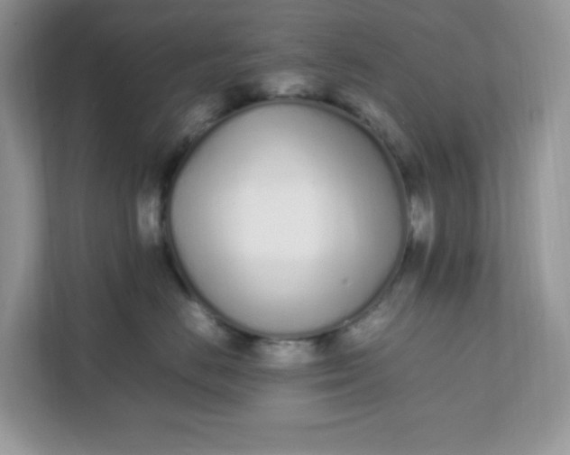 X0000112040670200908171512
