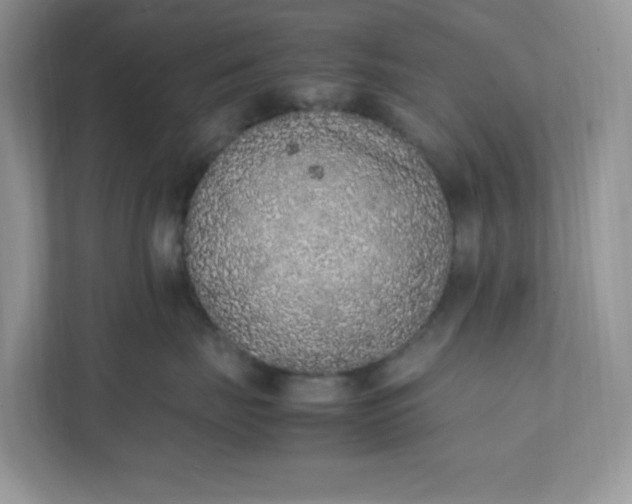 X0000112040671200908171512