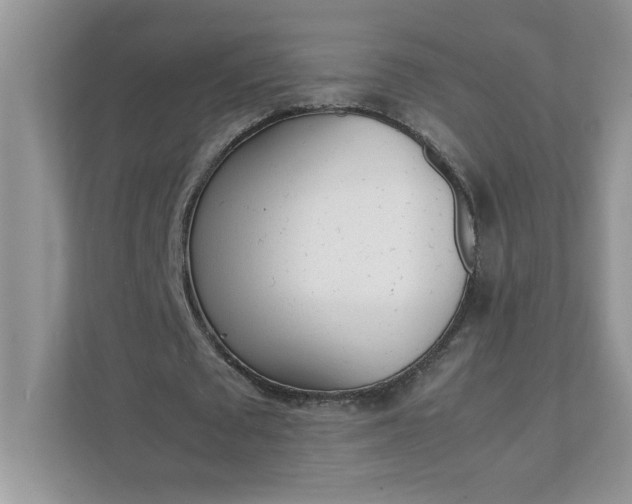 X0000112040673200908171511