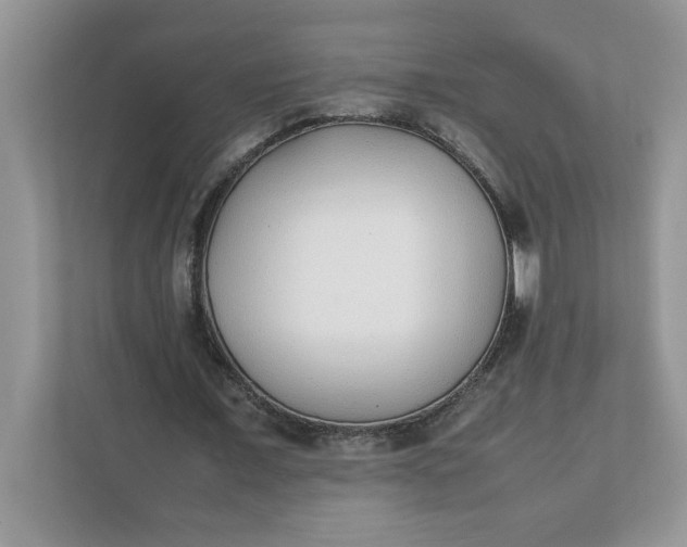 X0000112040675200908171511