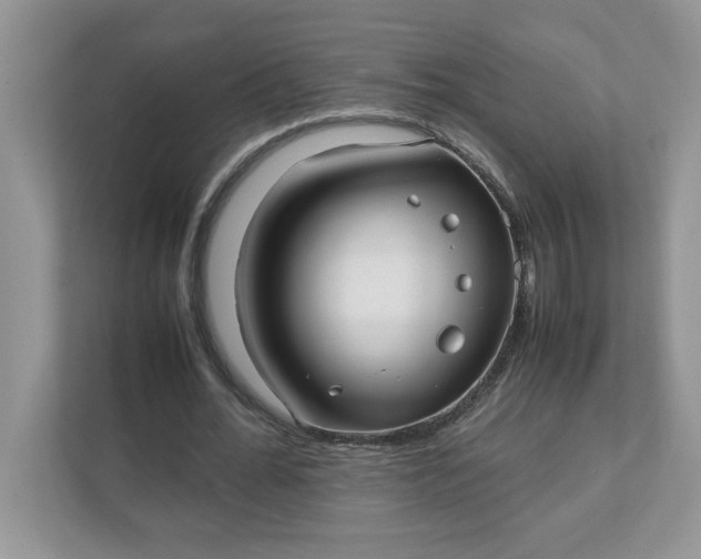 X0000112040676200908171511