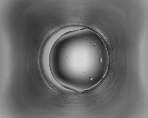 X0000112040677200908171511