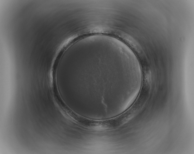 X0000112040678200908171511