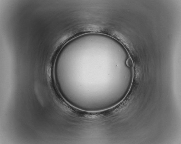 X0000112040679200908171511