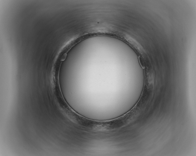 X0000112040680200908171511