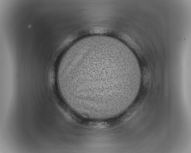 X0000112040683200908171511