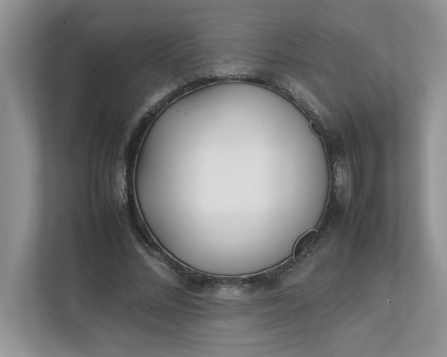 X0000112040684200908171511