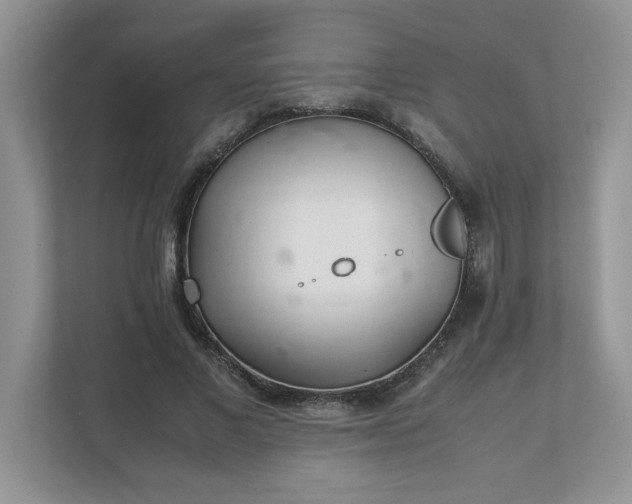 X0000112040685200908171511
