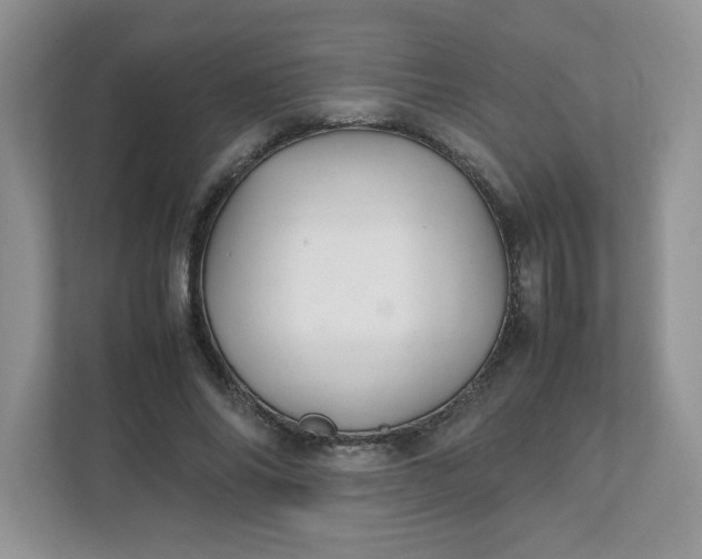 X0000112040686200908171511