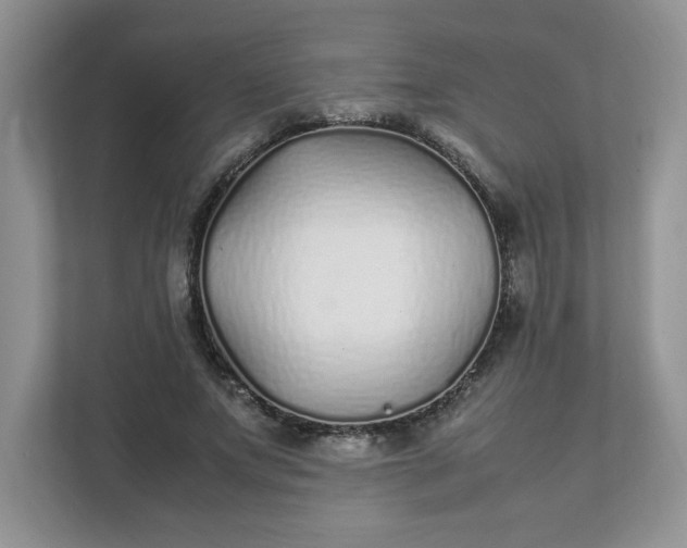 X0000112040687200908171511