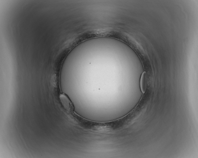X0000112040689200908171511