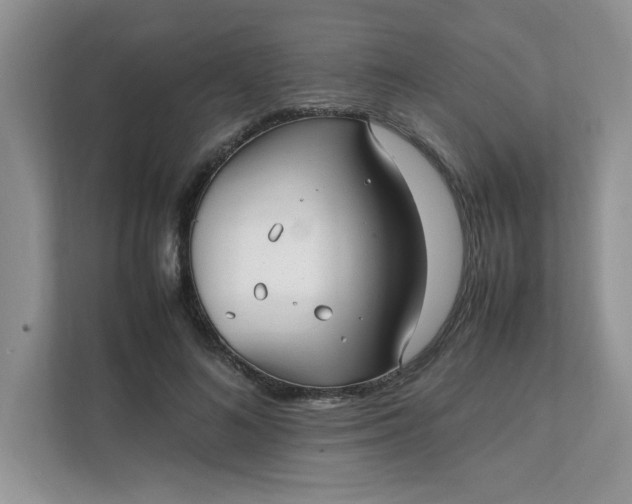 X0000112040692200908171511