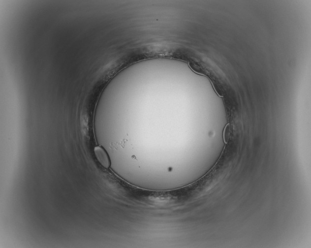 X0000112040693200908171511