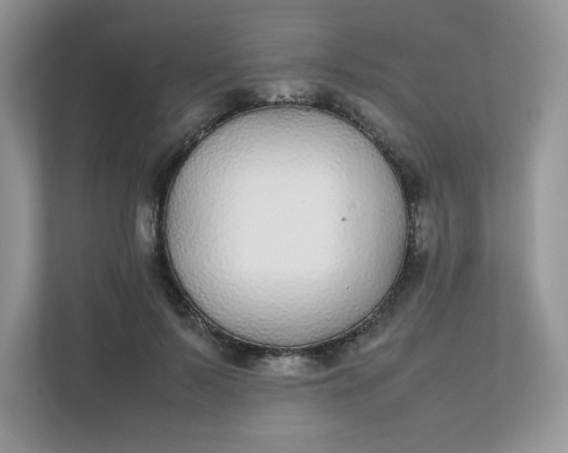 X0000112040695200908171511