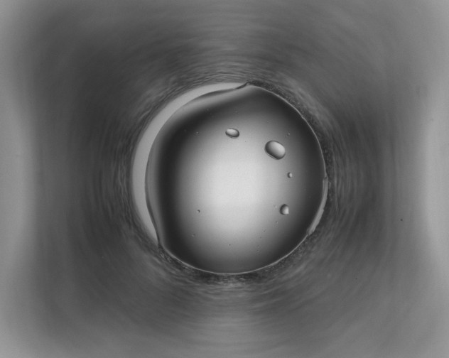 X0000112040696200908171511