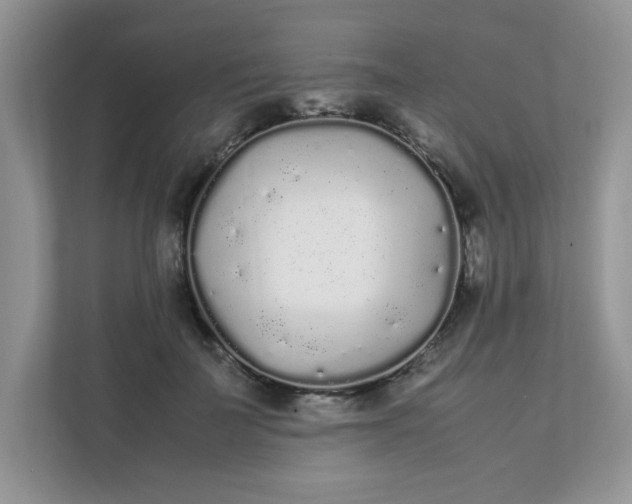 X0000112040699200908171511
