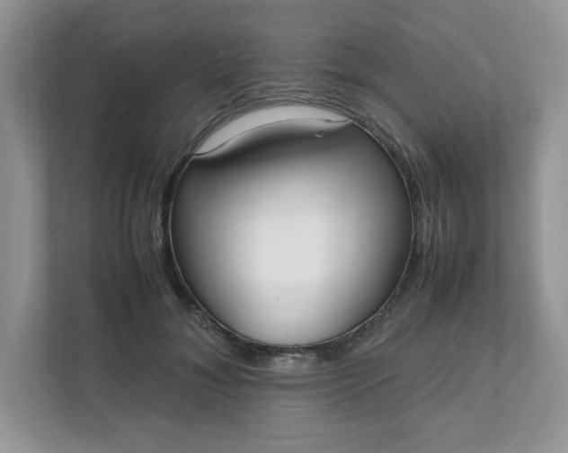 X0000112040700200908171511