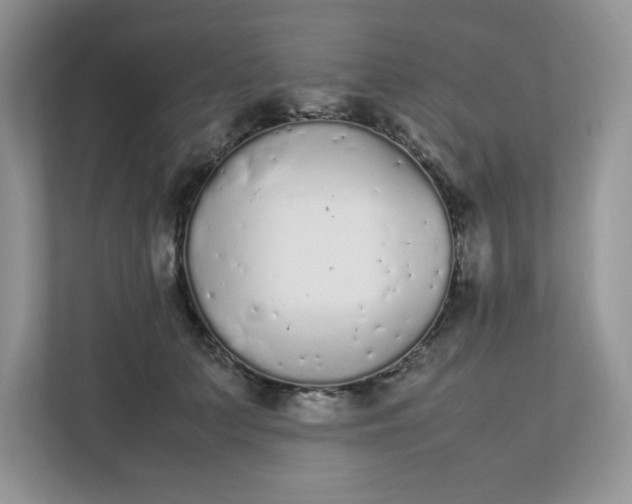 X0000112040703200908171511