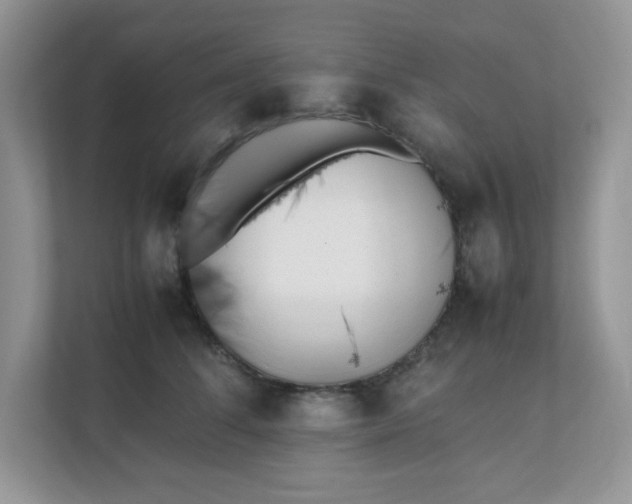 X0000112040708200908171511