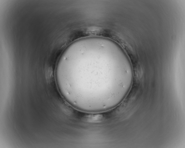 X0000112040711200908171511