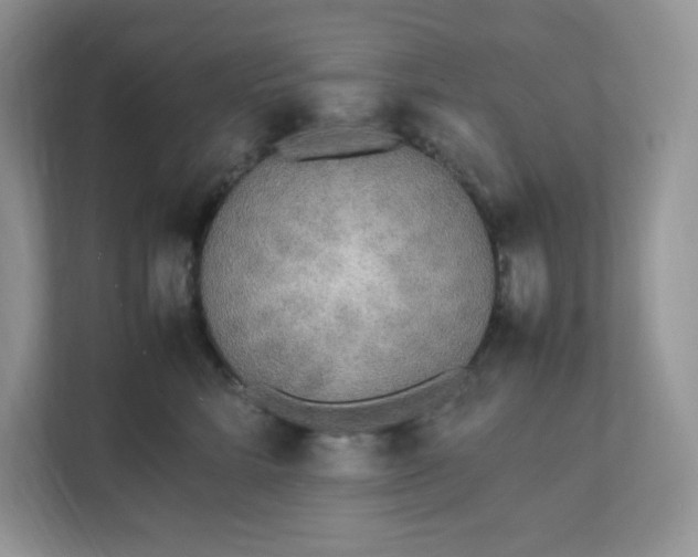 X0000112040712200908171511