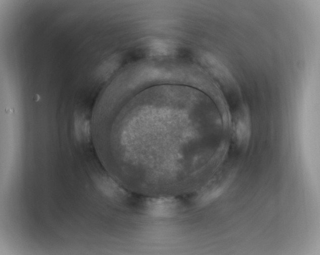 X0000112040716200908171511