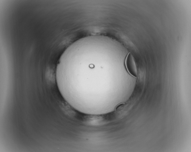 X0000112040719200908171511