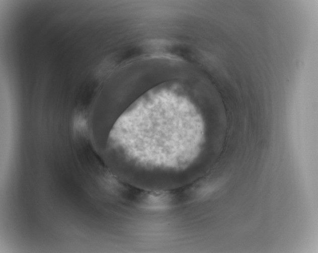 X0000112040720200908171511