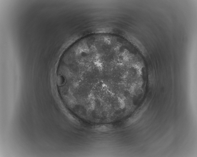 X0000112040721200908171510