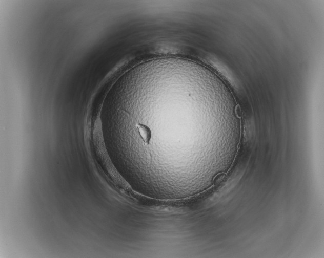 X0000112040722200908171510