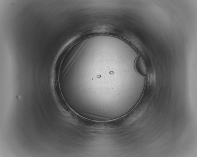 X0000112040724200908171510