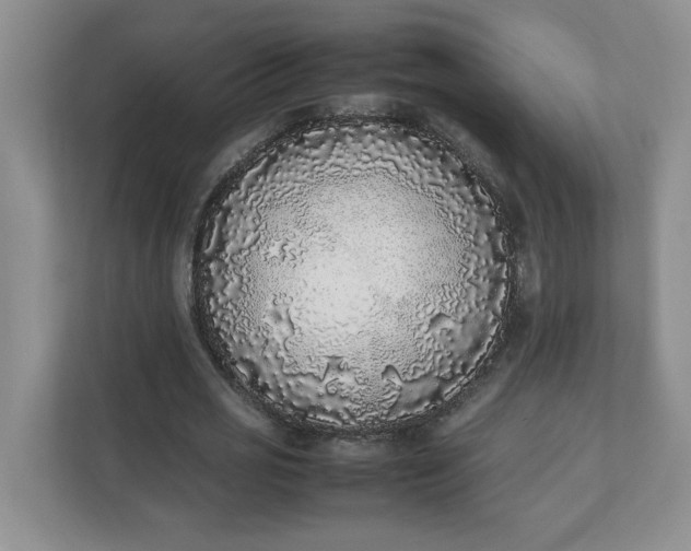 X0000112040725200908171510