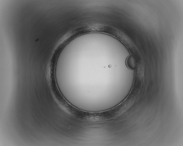 X0000112040730200908171510