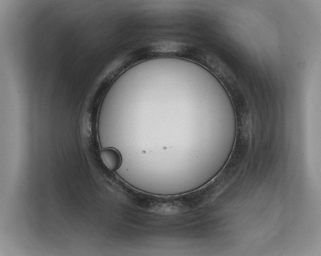 X0000112040731200908171510