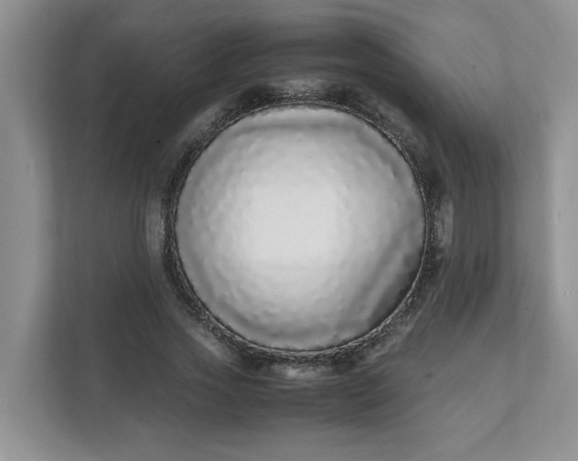 X0000112040733200908171510