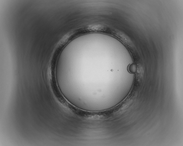 X0000112040734200908171510