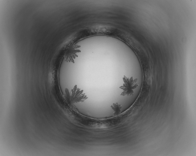 X0000112040735200908171510