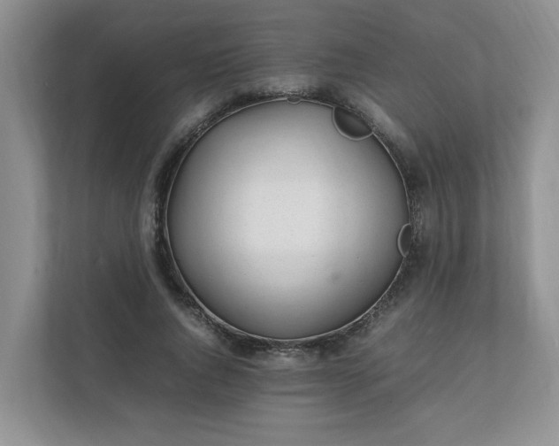 X0000112040736200908171510
