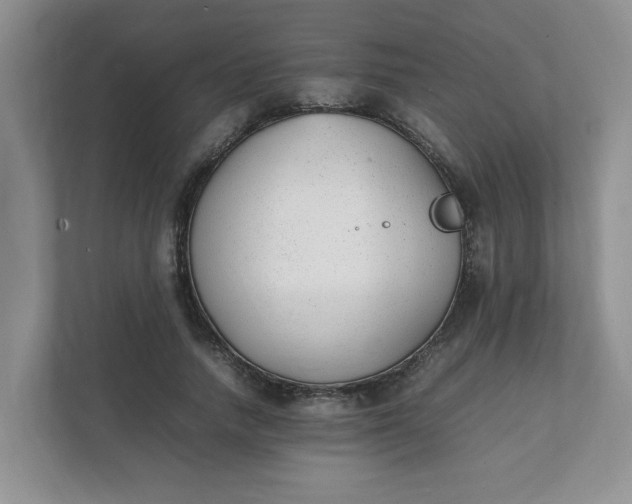 X0000112040738200908171510