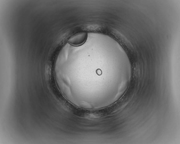 X0000112040739200908171510