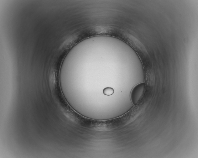 X0000112040740200908171510