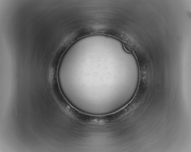 X0000112040742200908171510